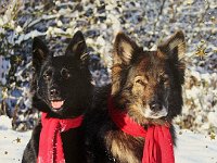 Gitan und Shani  Bes.: Catherine Perren